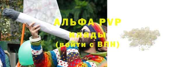 трава Гусь-Хрустальный
