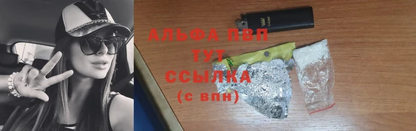 соль ск Гусиноозёрск