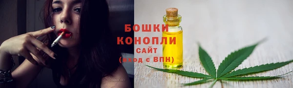 соль ск Гусиноозёрск