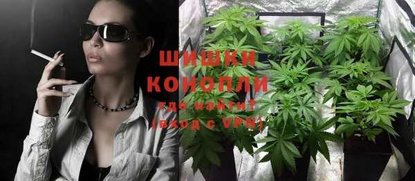 соль ск Гусиноозёрск