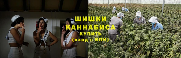соль ск Гусиноозёрск