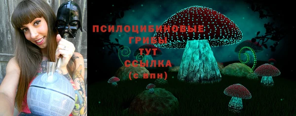 соль ск Гусиноозёрск