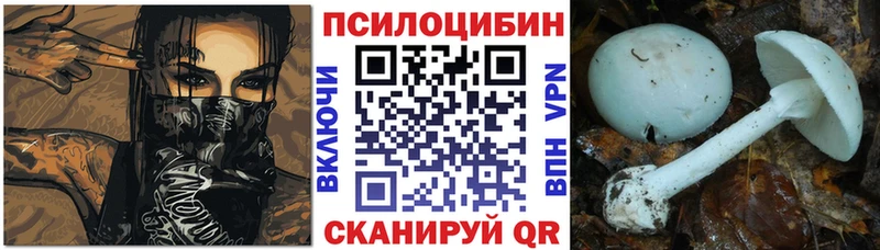 Псилоцибиновые грибы MAGIC MUSHROOMS  Купить закладки  Сретенск 